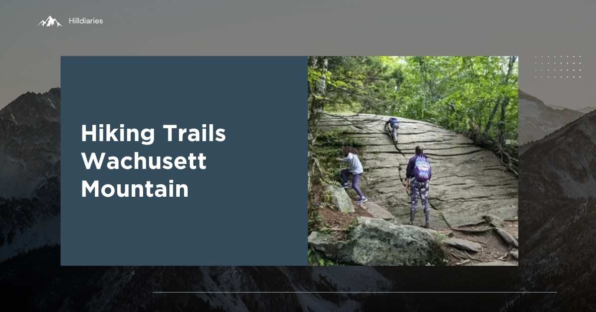 Hiking Trails Wachusett Mountain